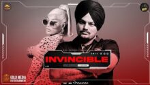 Invincible Lyrics Meaning In Hindi